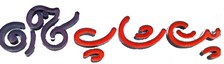 پت شاپ کارن